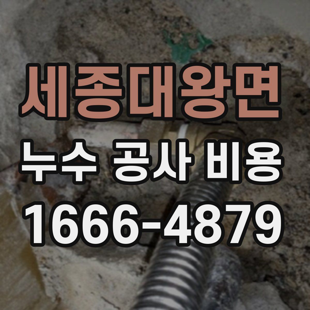 세종대왕면 누수 공사 비용