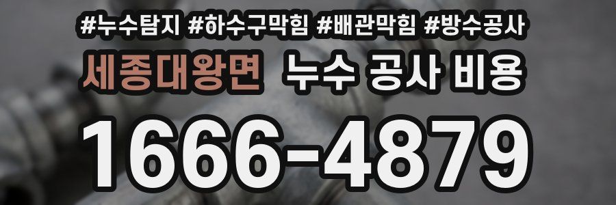 세종대왕면 누수 공사 비용