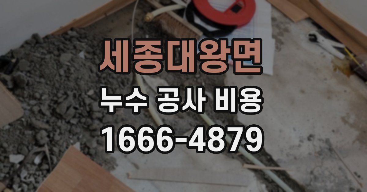 세종대왕면 누수 공사 비용