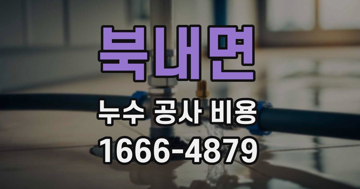 북내면 누수 공사 비용