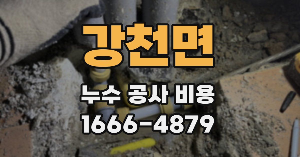 강천면 누수 공사 비용