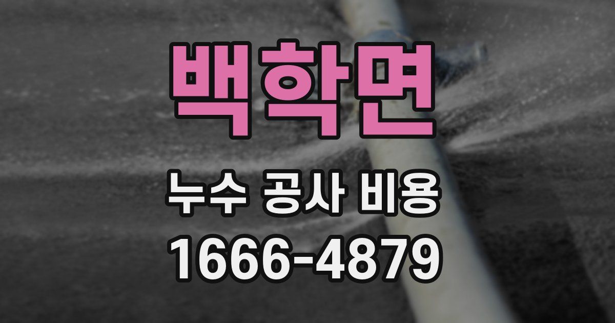 백학면 누수 공사 비용