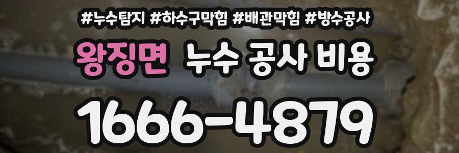 왕징면 누수 공사 비용