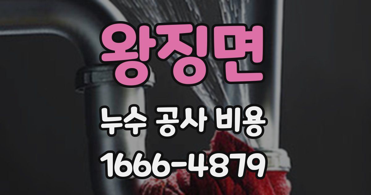 왕징면 누수 공사 비용