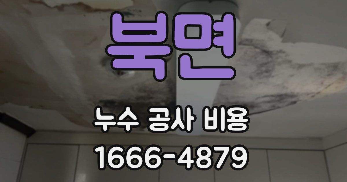 북면 누수 공사 비용