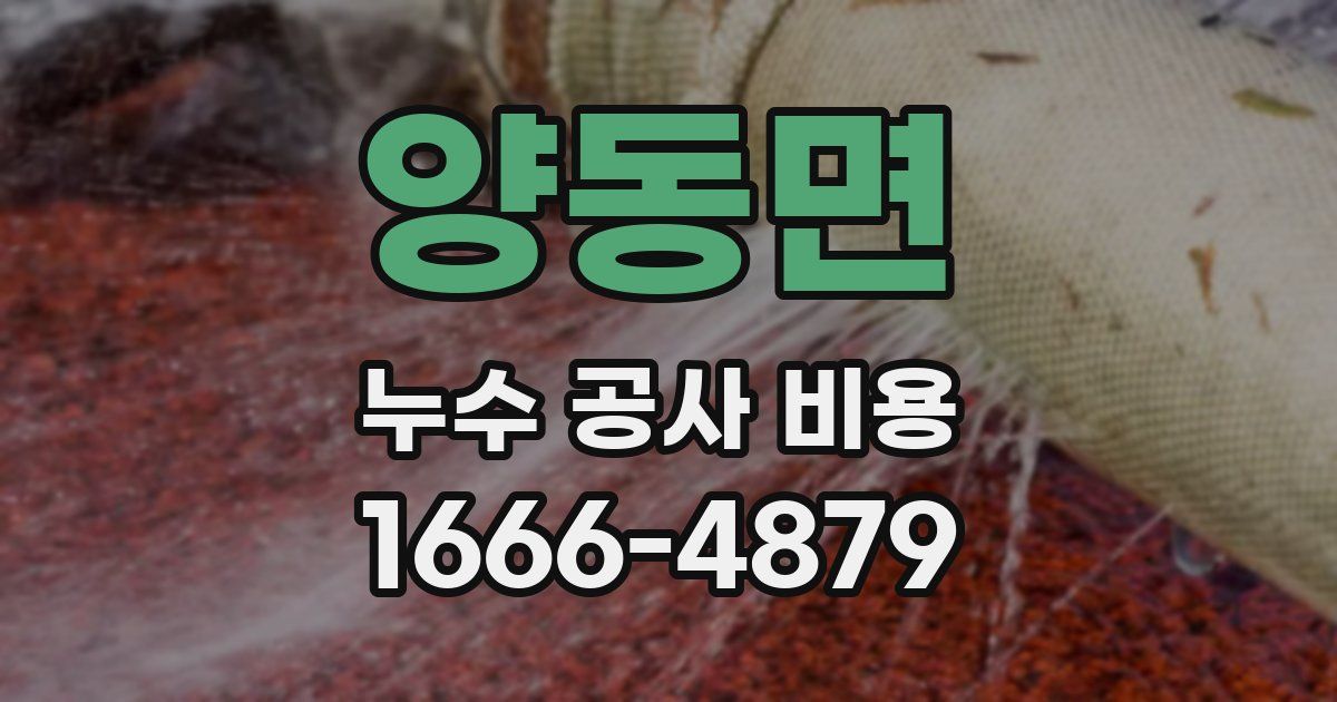 양동면 누수 공사 비용