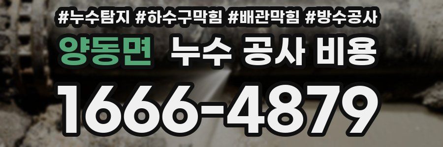 양동면 누수 공사 비용