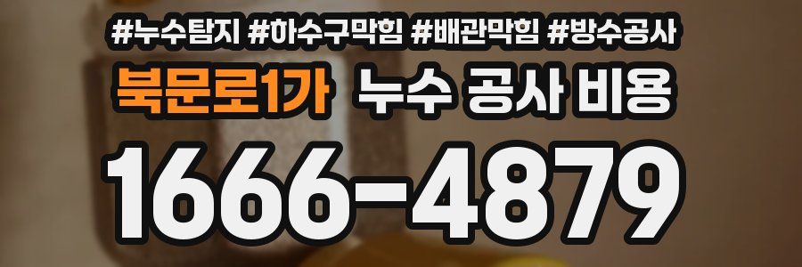 북문로1가 누수 공사 비용