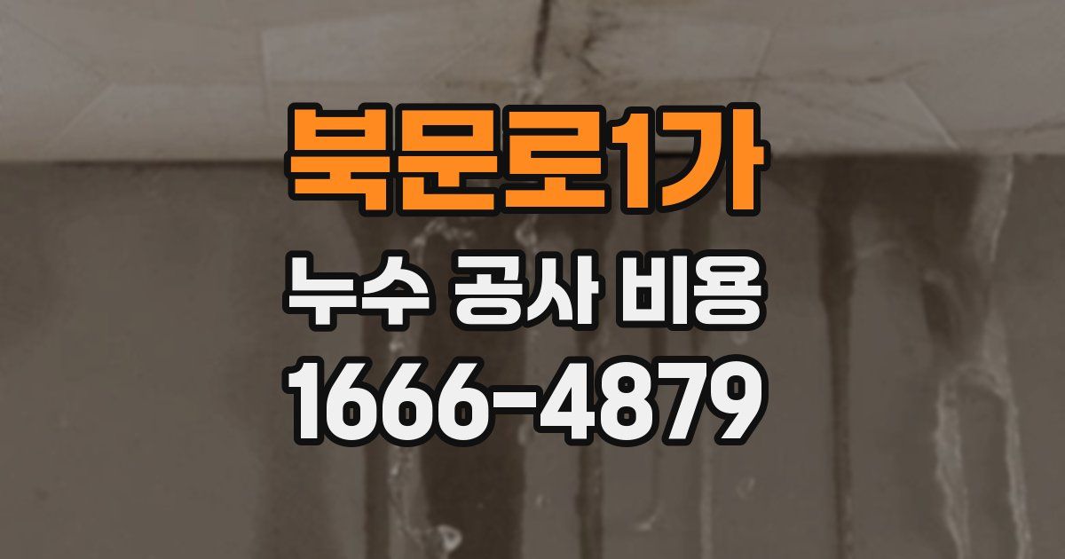 북문로1가 누수 공사 비용