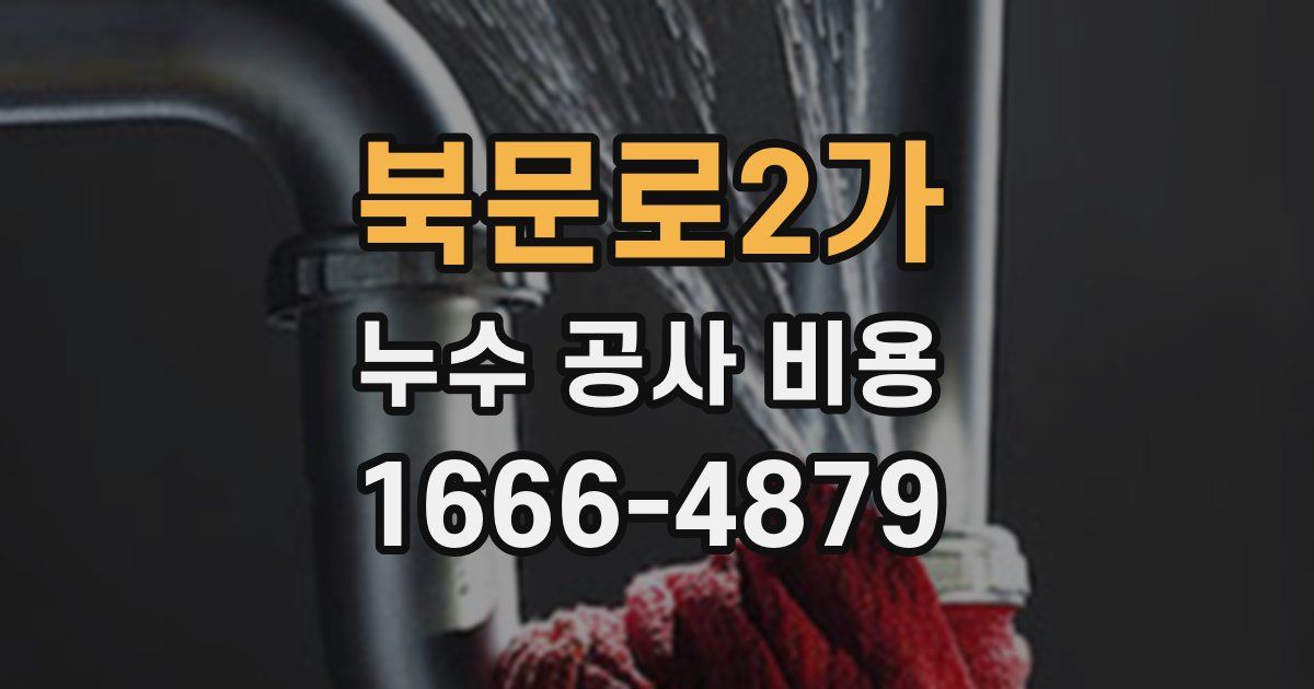 북문로2가 누수 공사 비용