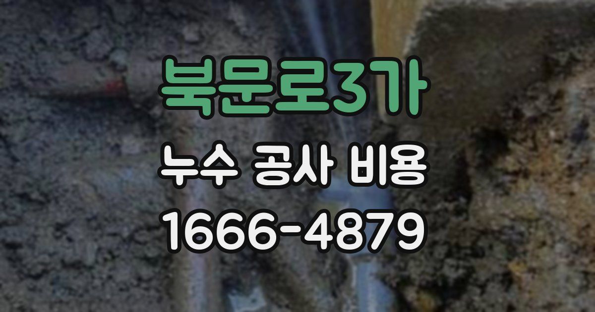 북문로3가 누수 공사 비용