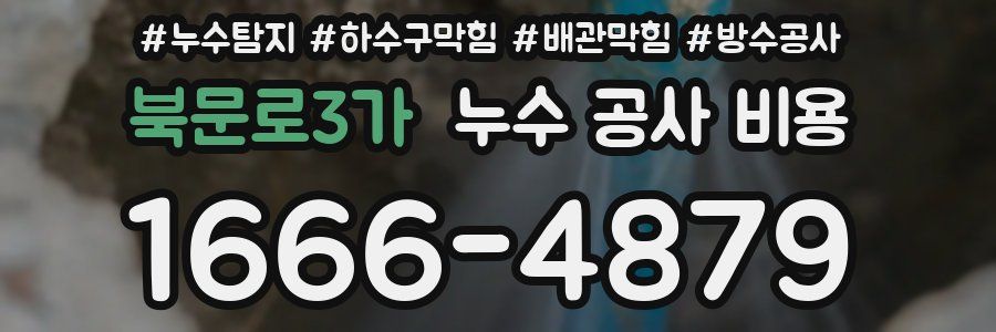 북문로3가 누수 공사 비용