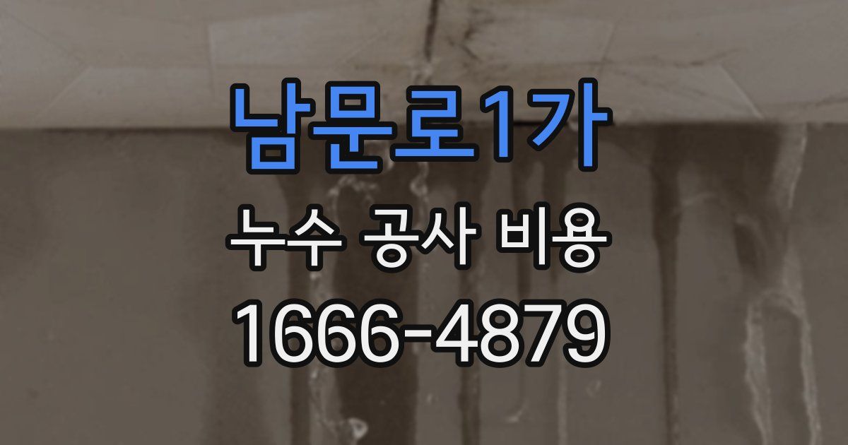 남문로1가 누수 공사 비용