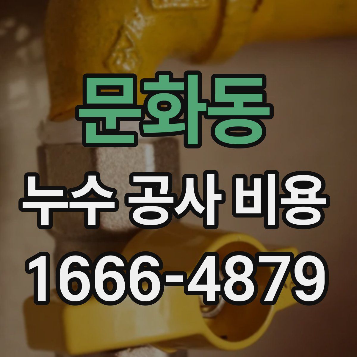 문화동 누수 공사 비용