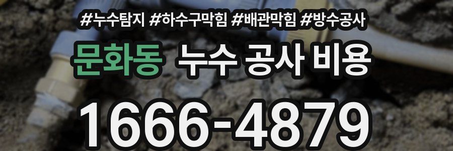 문화동 누수 공사 비용