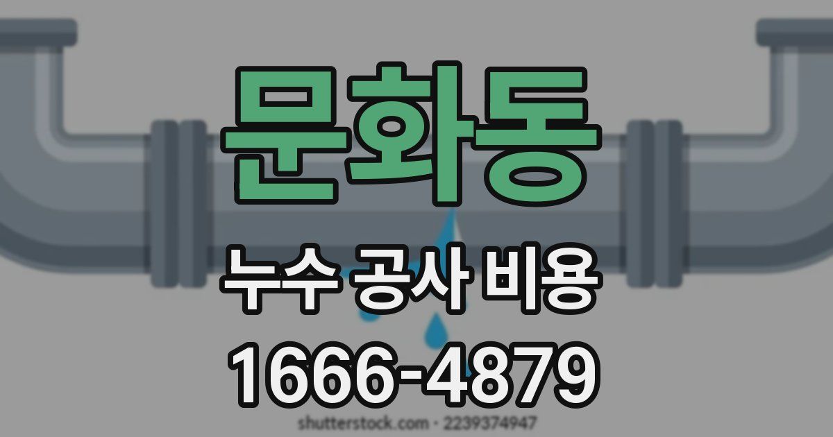문화동 누수 공사 비용