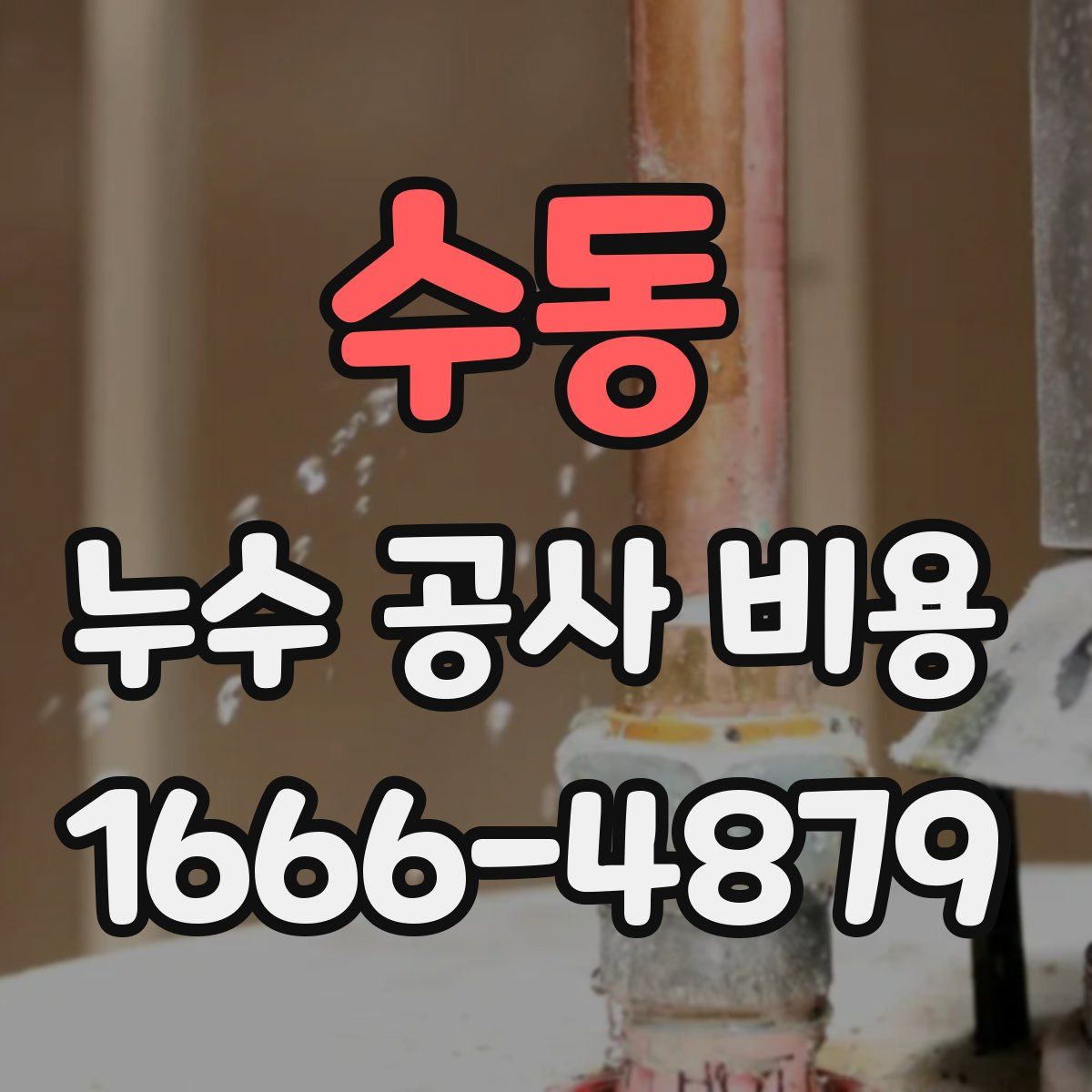 수동 누수 공사 비용