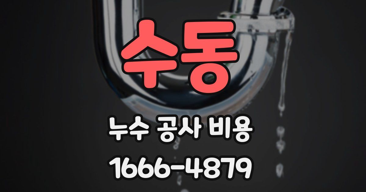 수동 누수 공사 비용