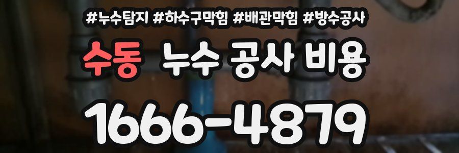 수동 누수 공사 비용