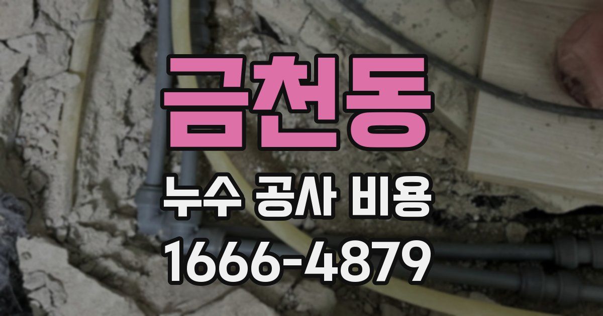 금천동 누수 공사 비용