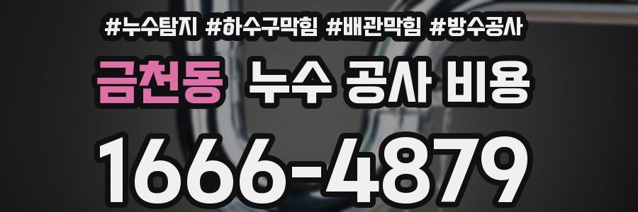 금천동 누수 공사 비용