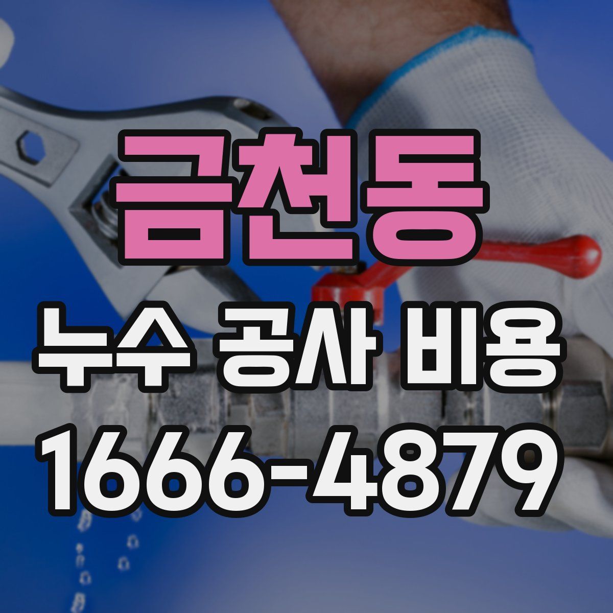 금천동 누수 공사 비용