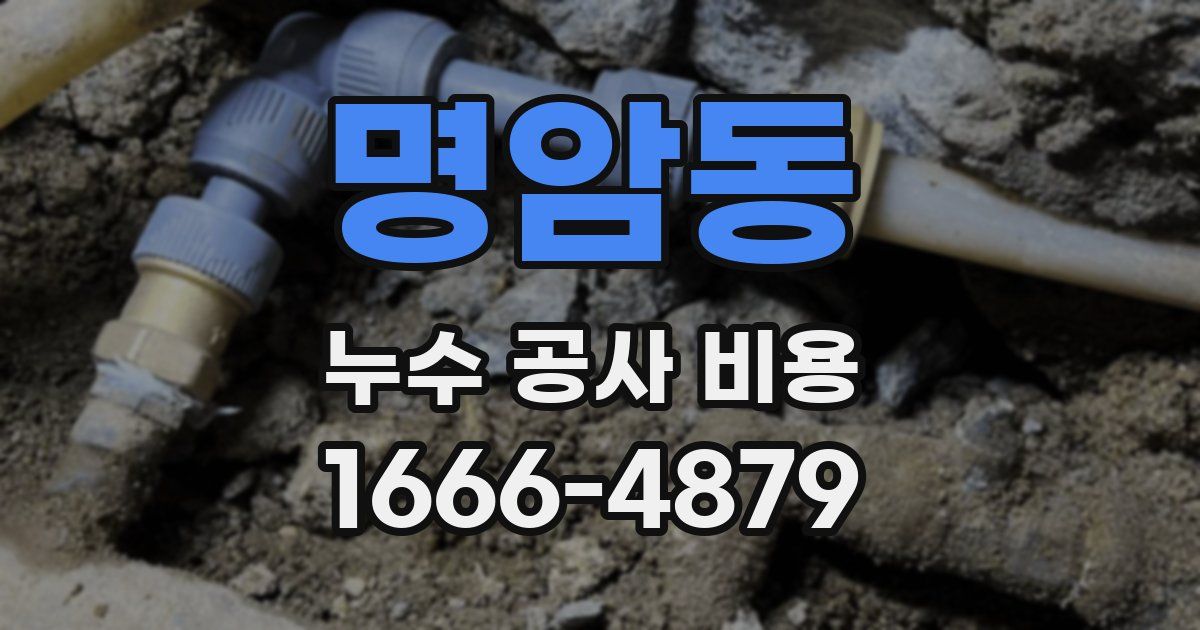 명암동 누수 공사 비용