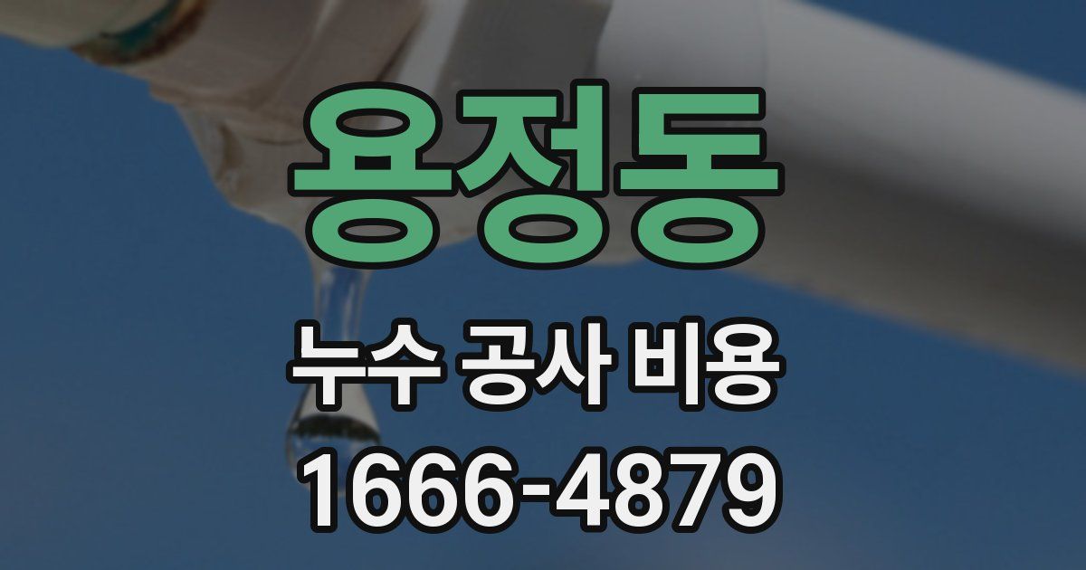 용정동 누수 공사 비용