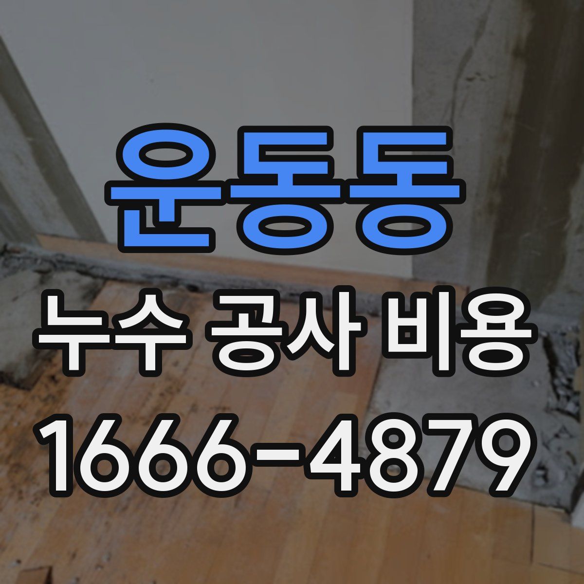 운동동 누수 공사 비용
