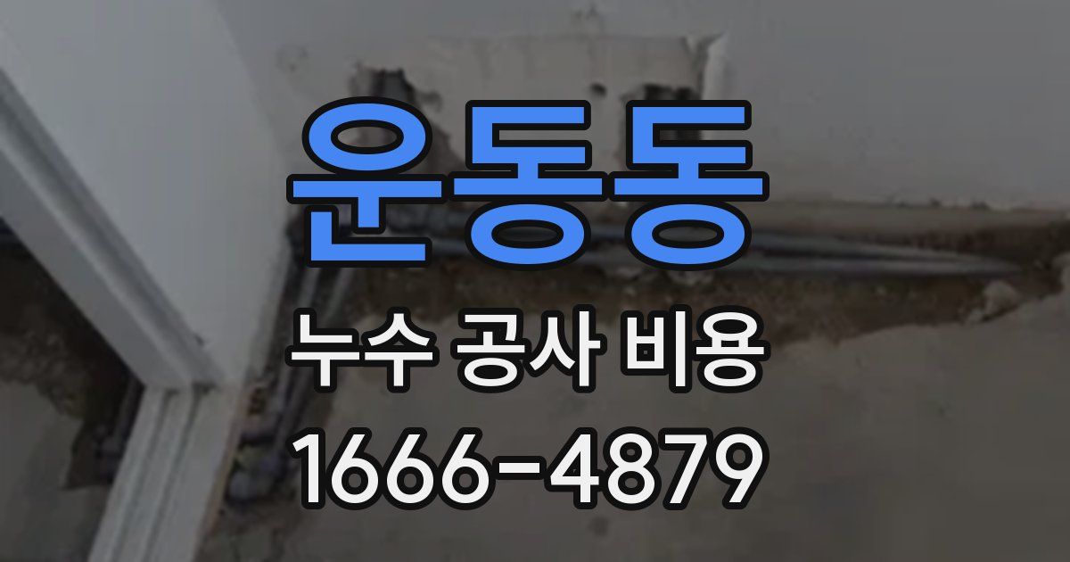 운동동 누수 공사 비용
