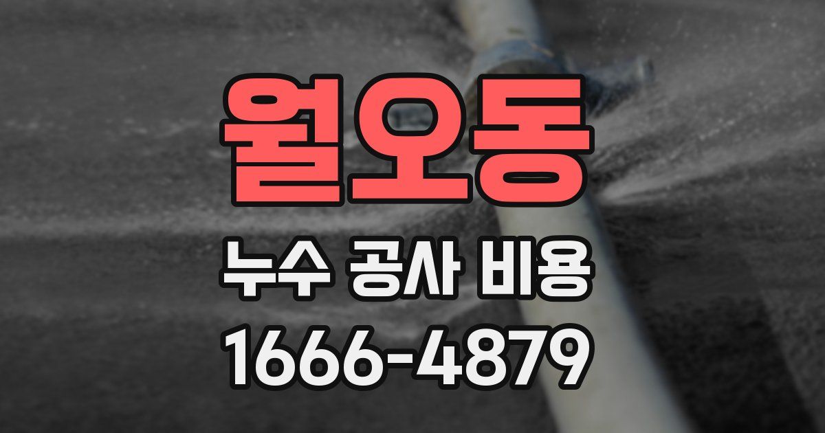 월오동 누수 공사 비용