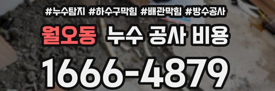 월오동 누수 공사 비용