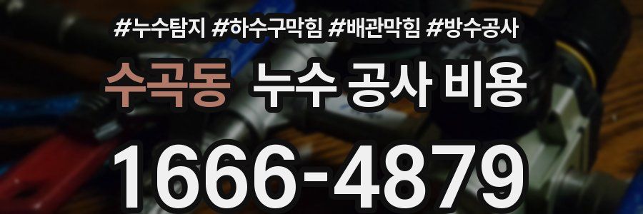 수곡동 누수 공사 비용