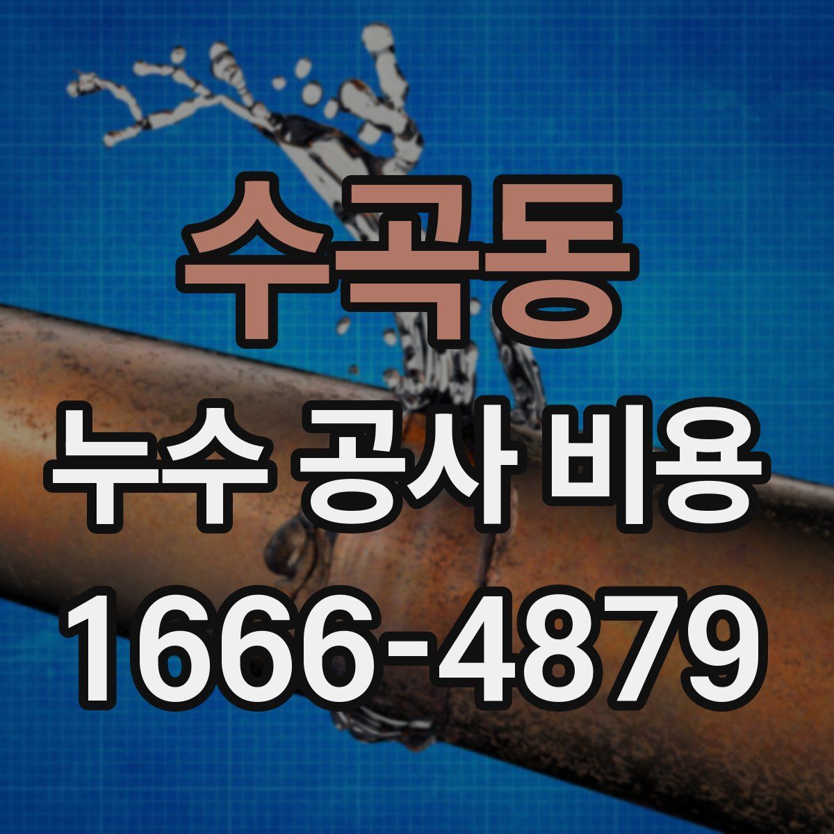 수곡동 누수 공사 비용