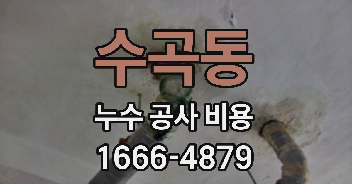 수곡동 누수 공사 비용