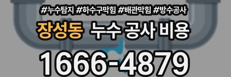 장성동 누수 공사 비용