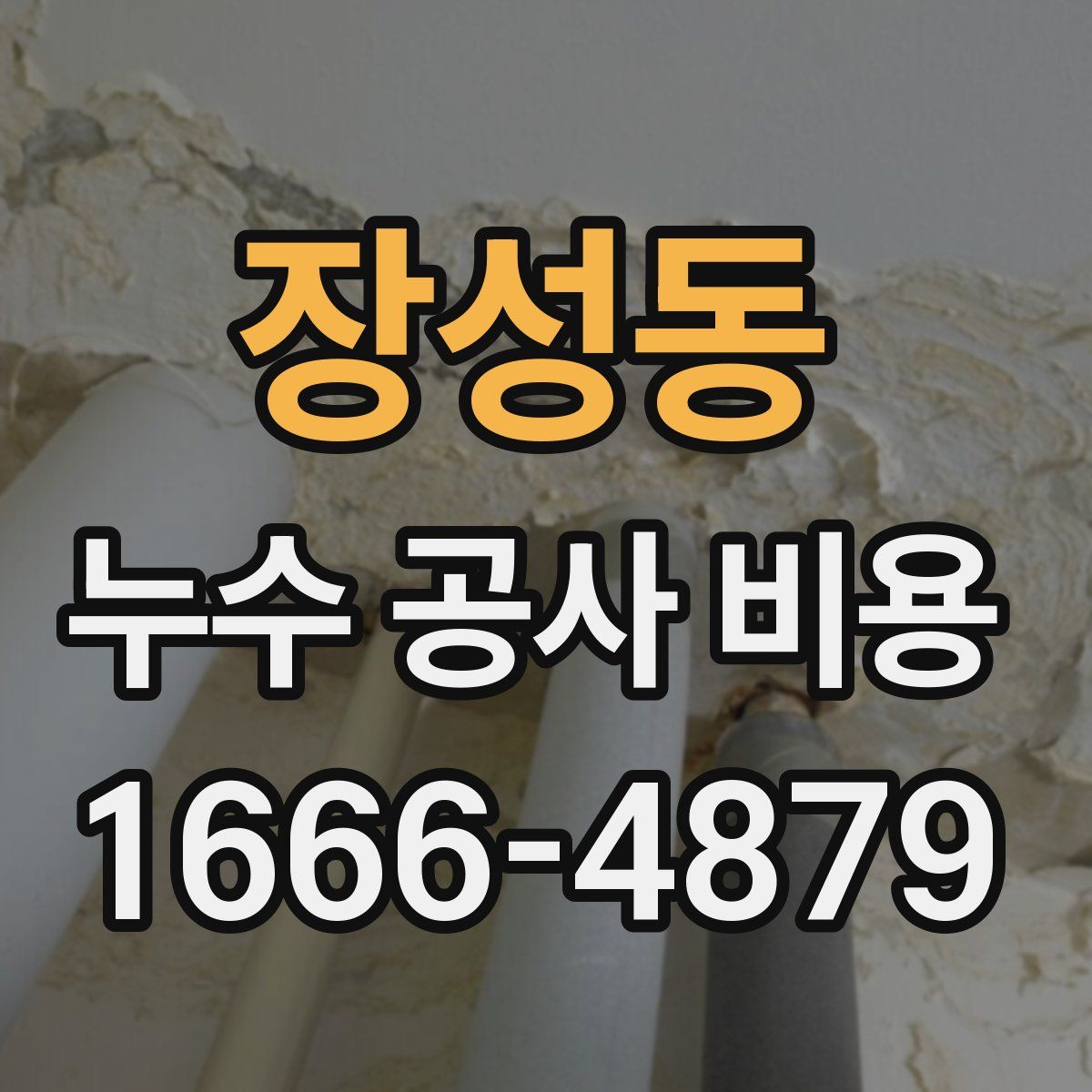 장성동 누수 공사 비용