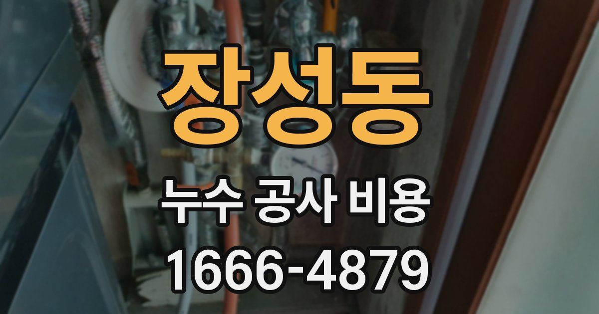 장성동 누수 공사 비용