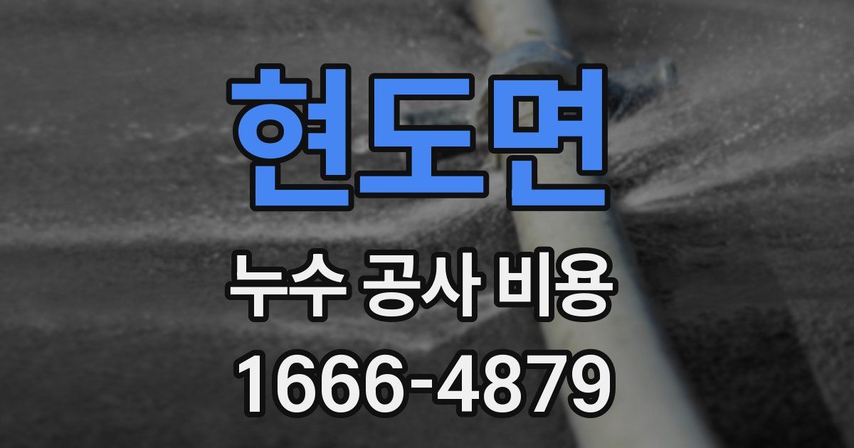 현도면 누수 공사 비용