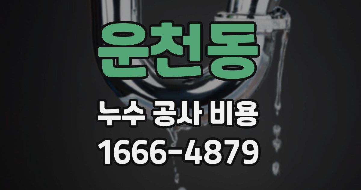 운천동 누수 공사 비용