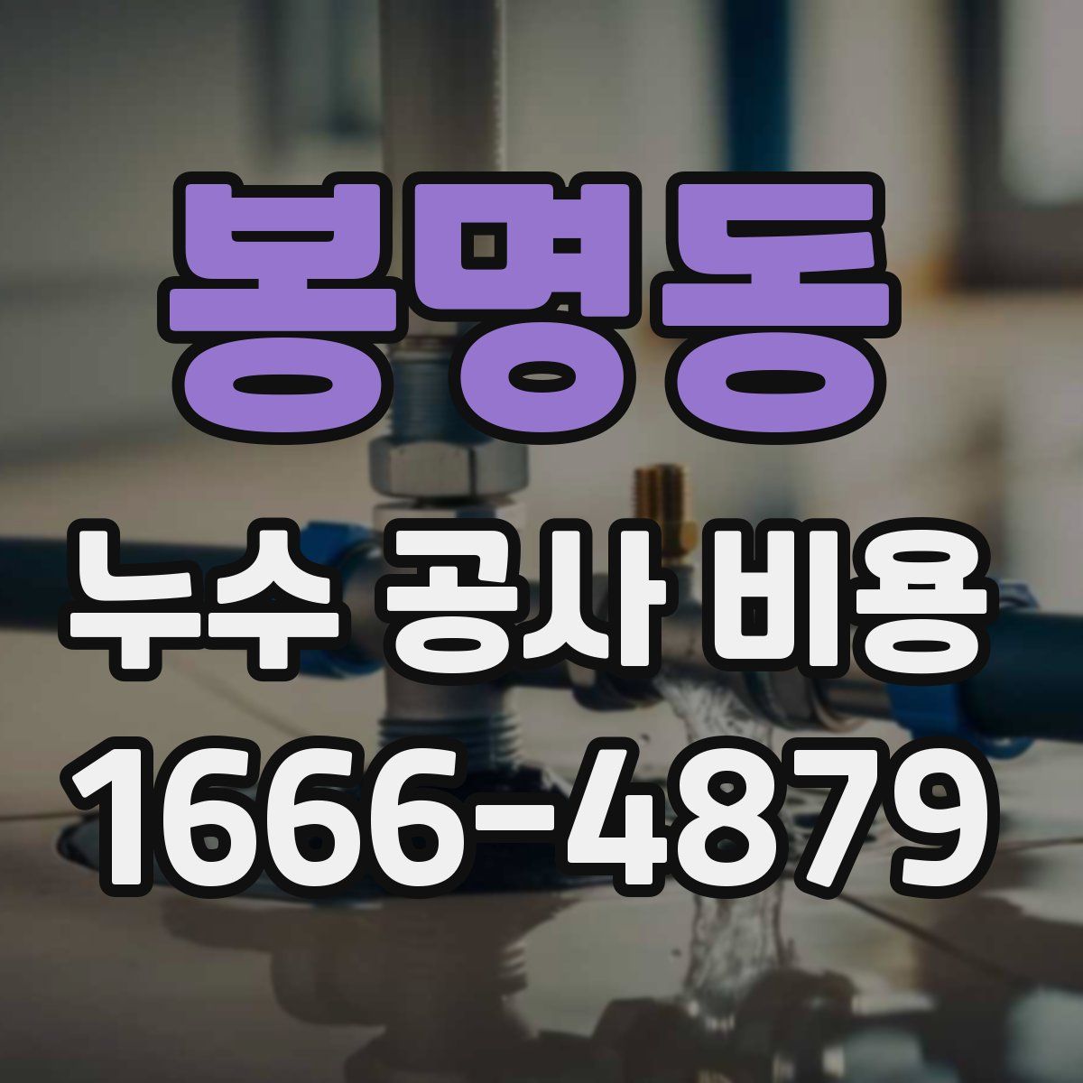 봉명동 누수 공사 비용