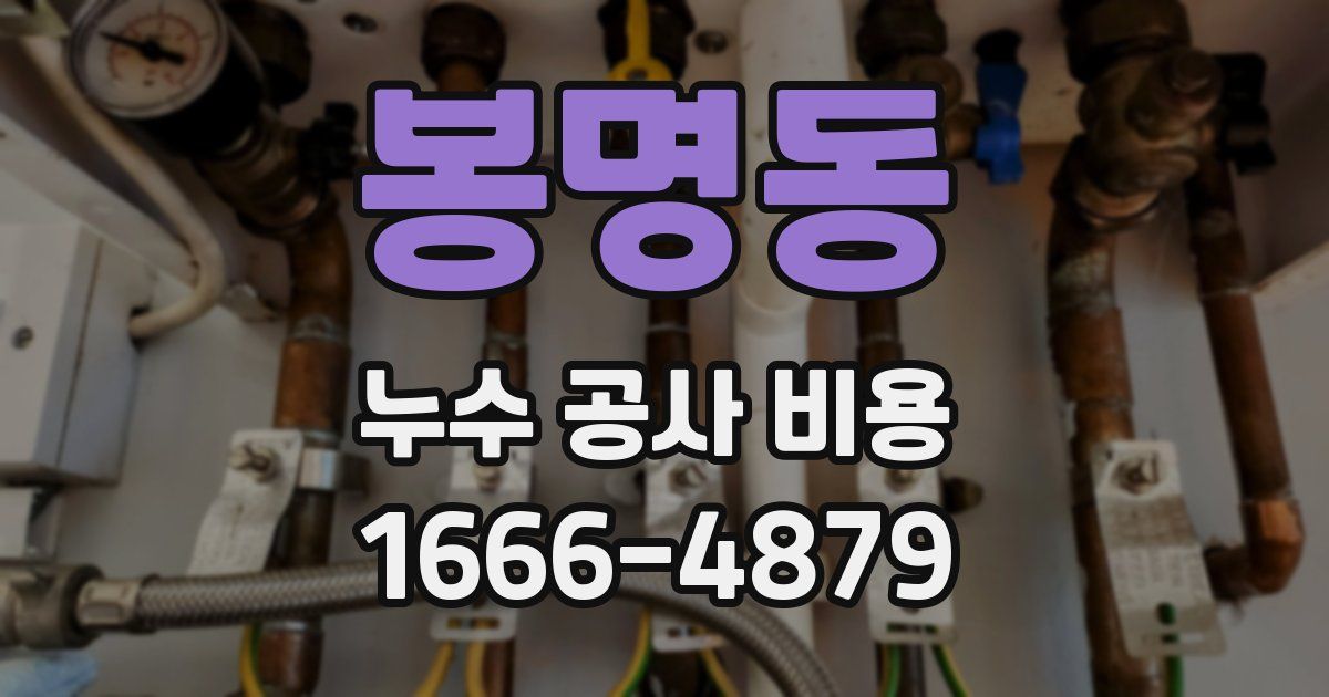 봉명동 누수 공사 비용