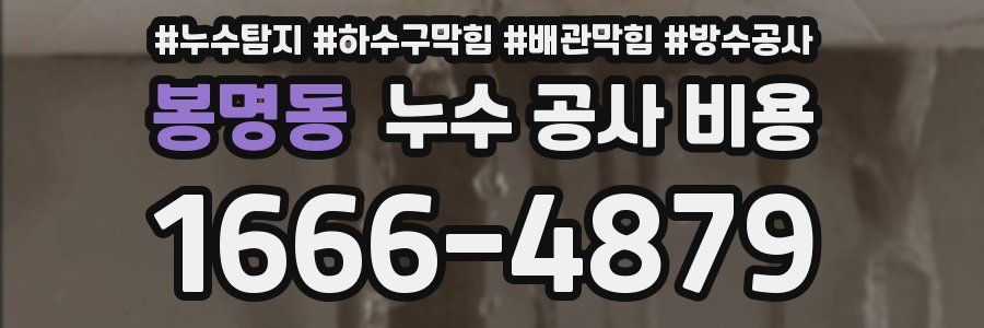 봉명동 누수 공사 비용
