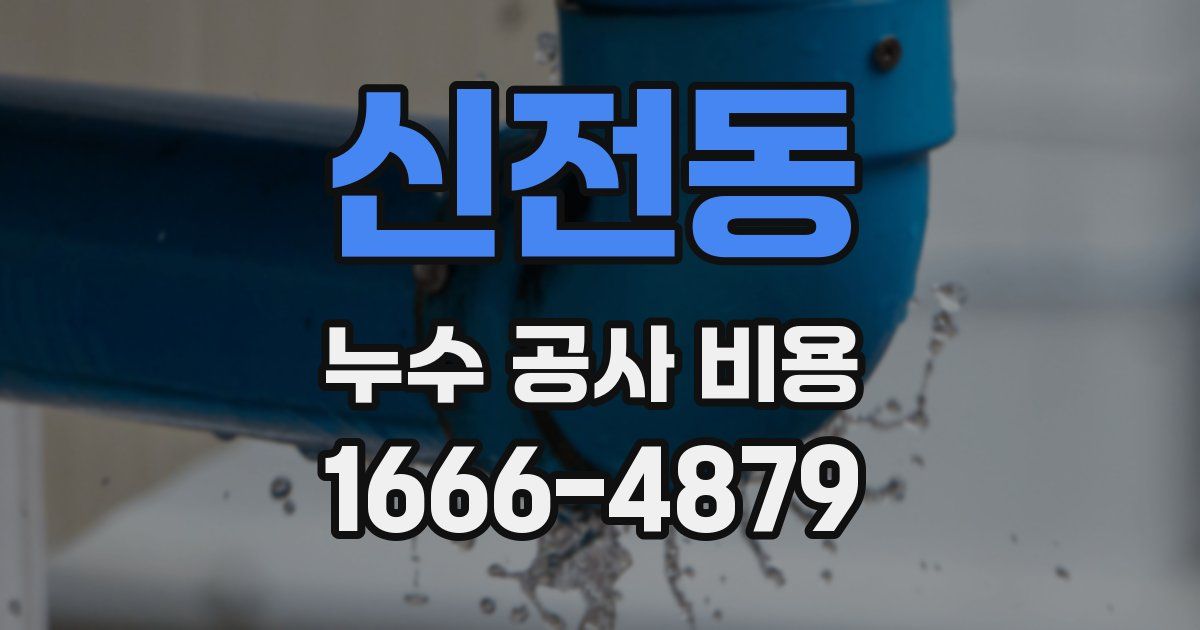 신전동 누수 공사 비용