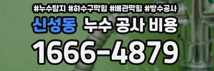 신성동 누수 공사 비용