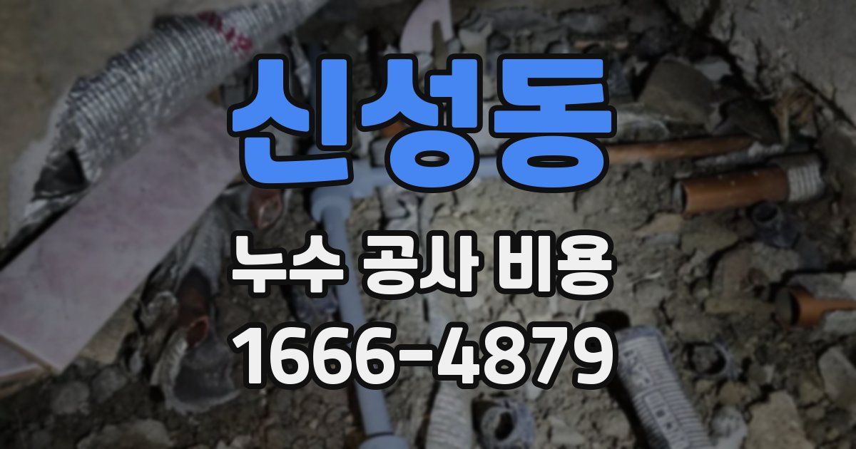 신성동 누수 공사 비용