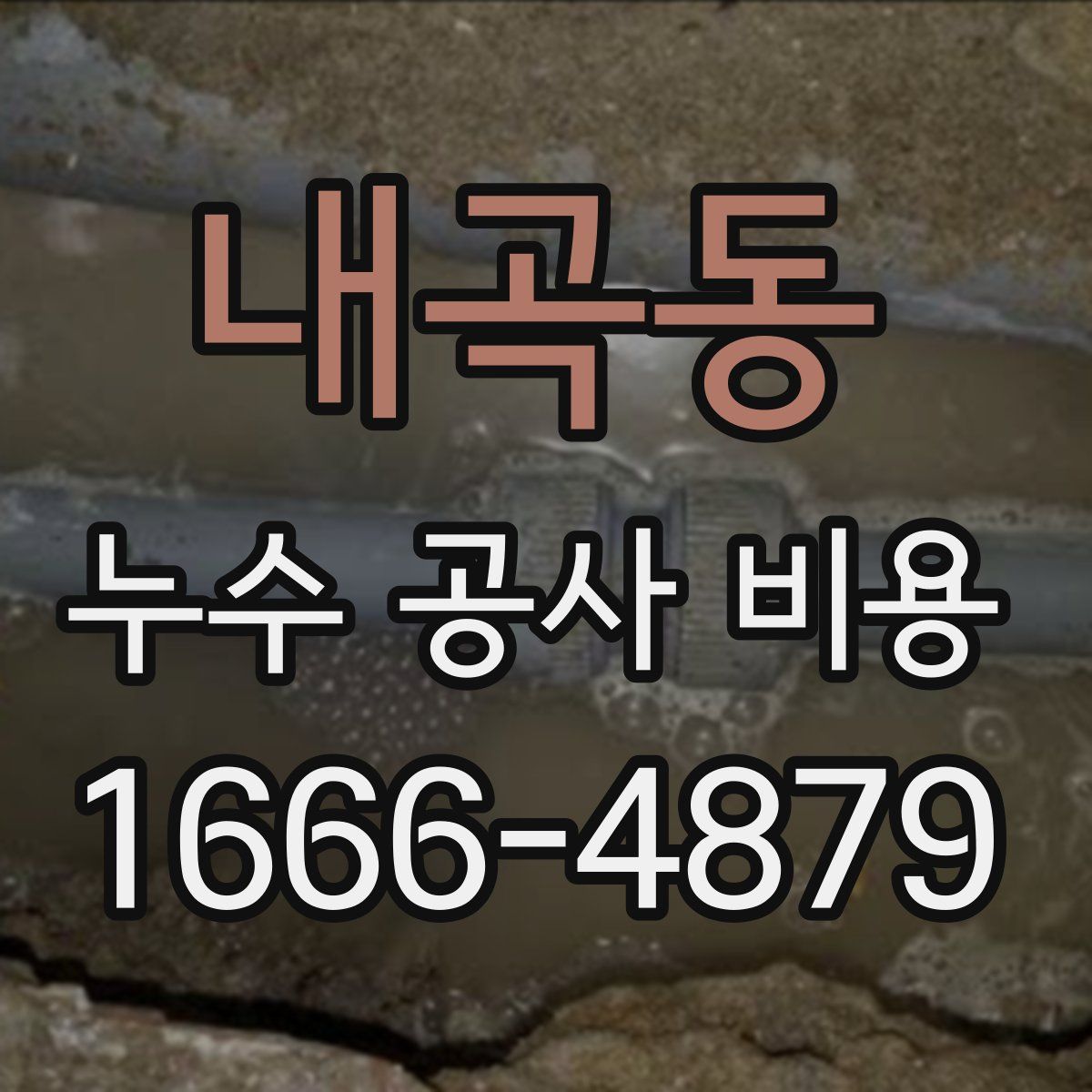 내곡동 누수 공사 비용