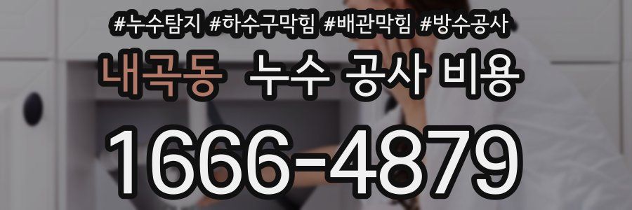 내곡동 누수 공사 비용