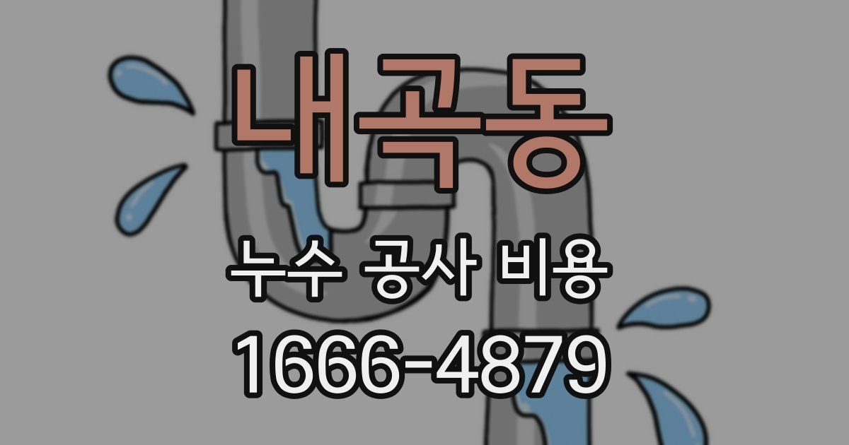 내곡동 누수 공사 비용
