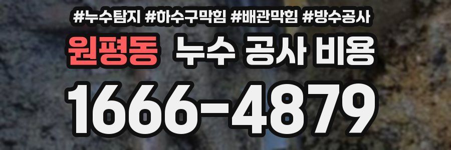 원평동 누수 공사 비용